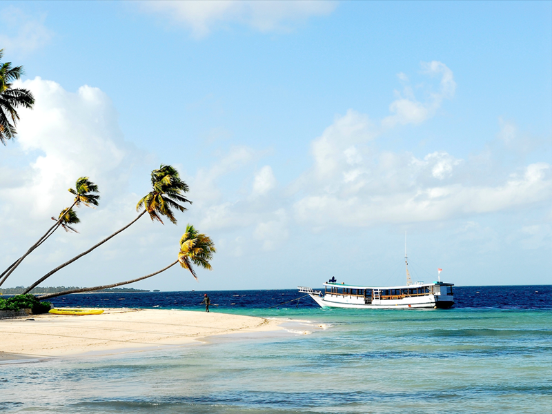 Domestic Tours